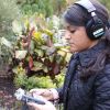 Documenting the South Through Sound